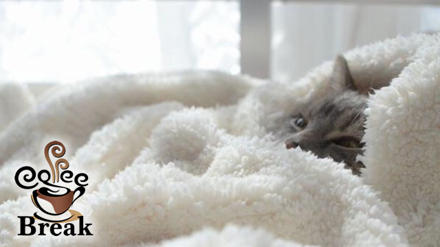 coffeebreak-20180613