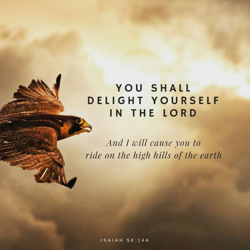 scripture-isaiah58_14