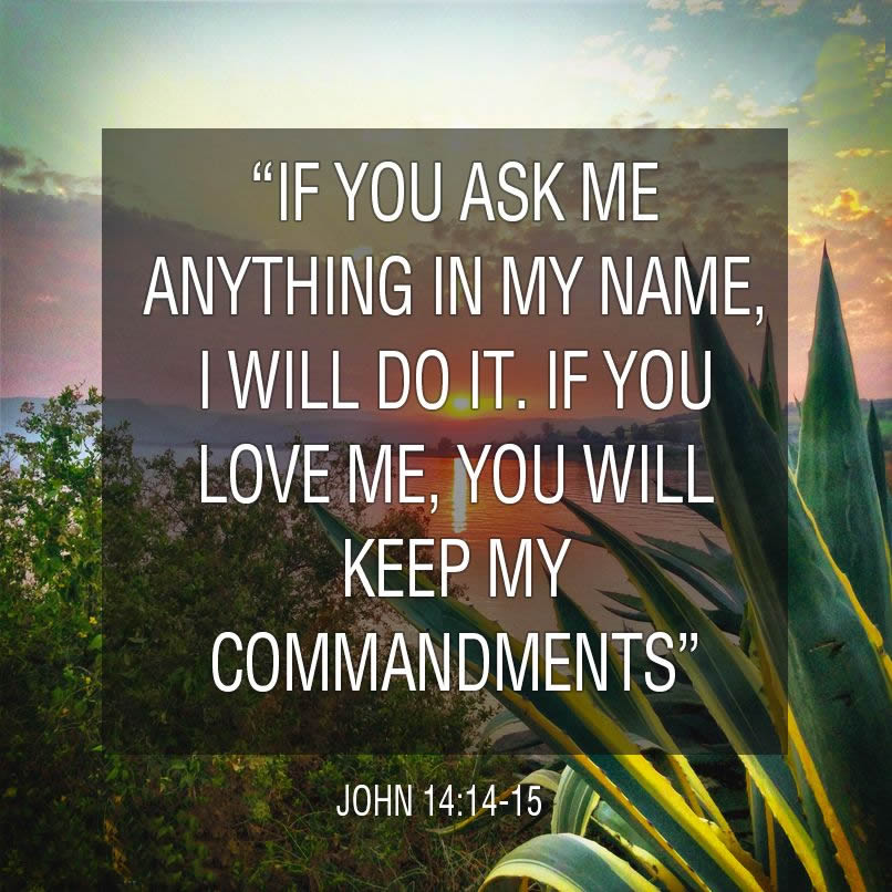 scripture-john14_14
